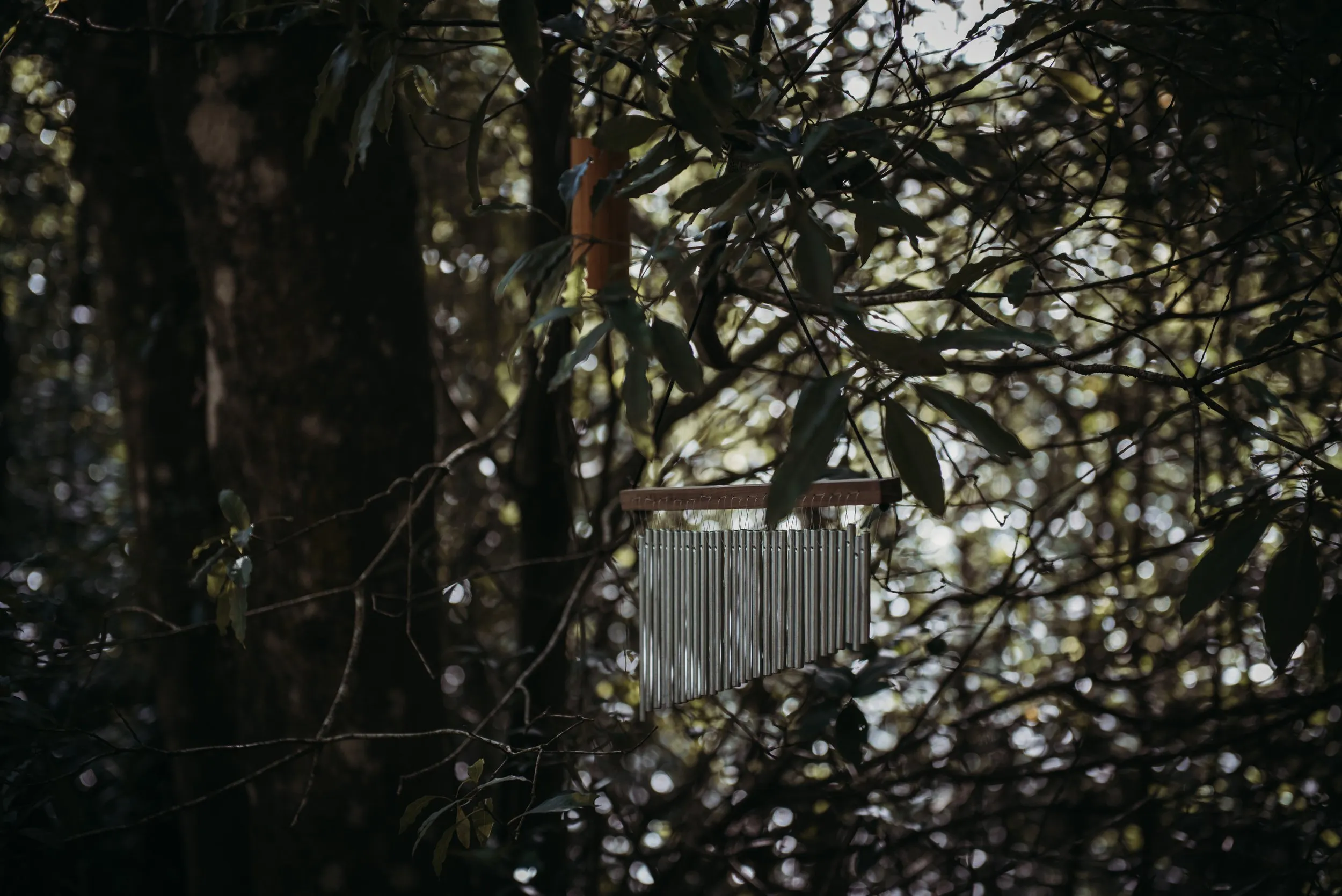 Baño de Bosque, Arboretum Lussich, Maldonado, Uruguay