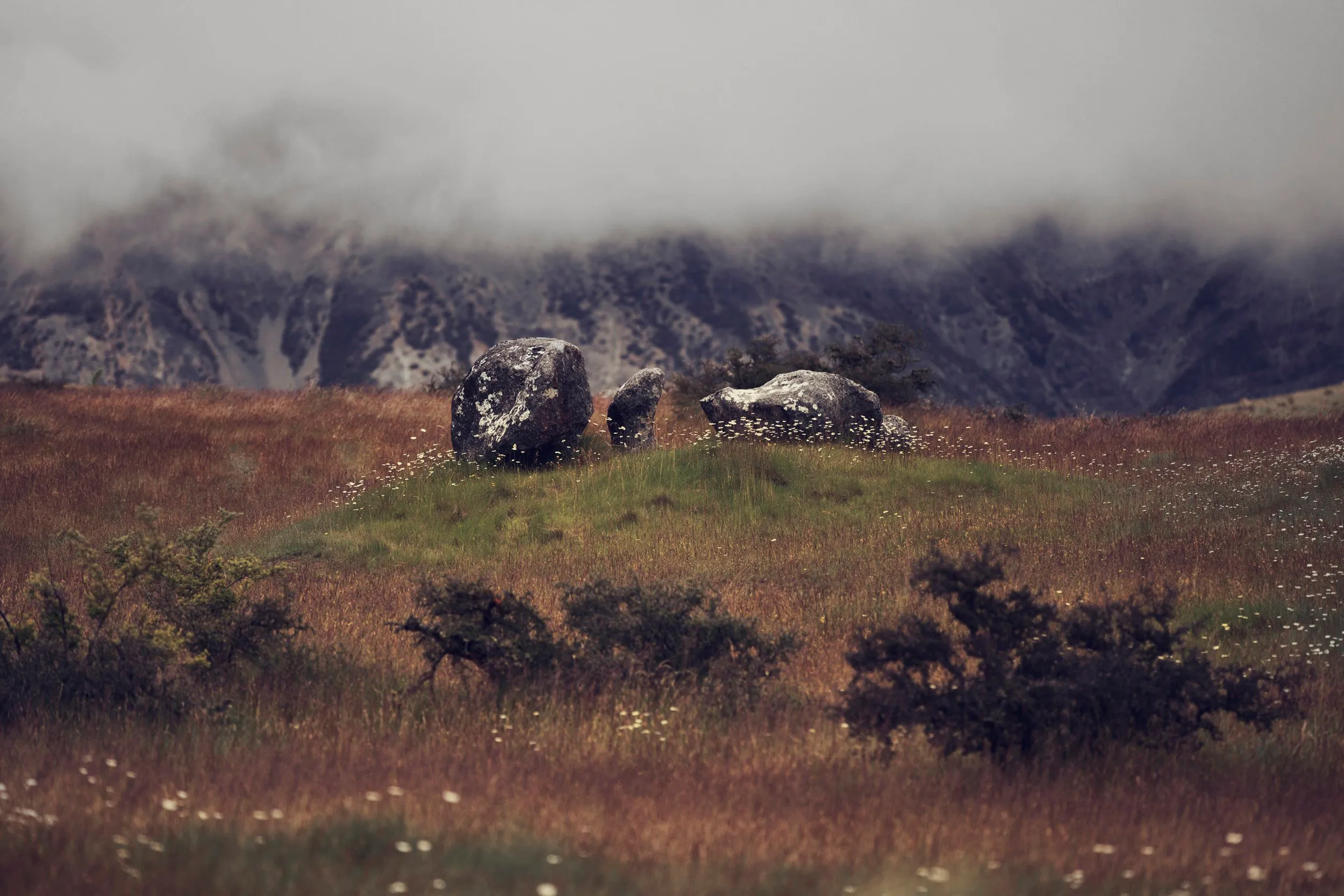 New Zealand
