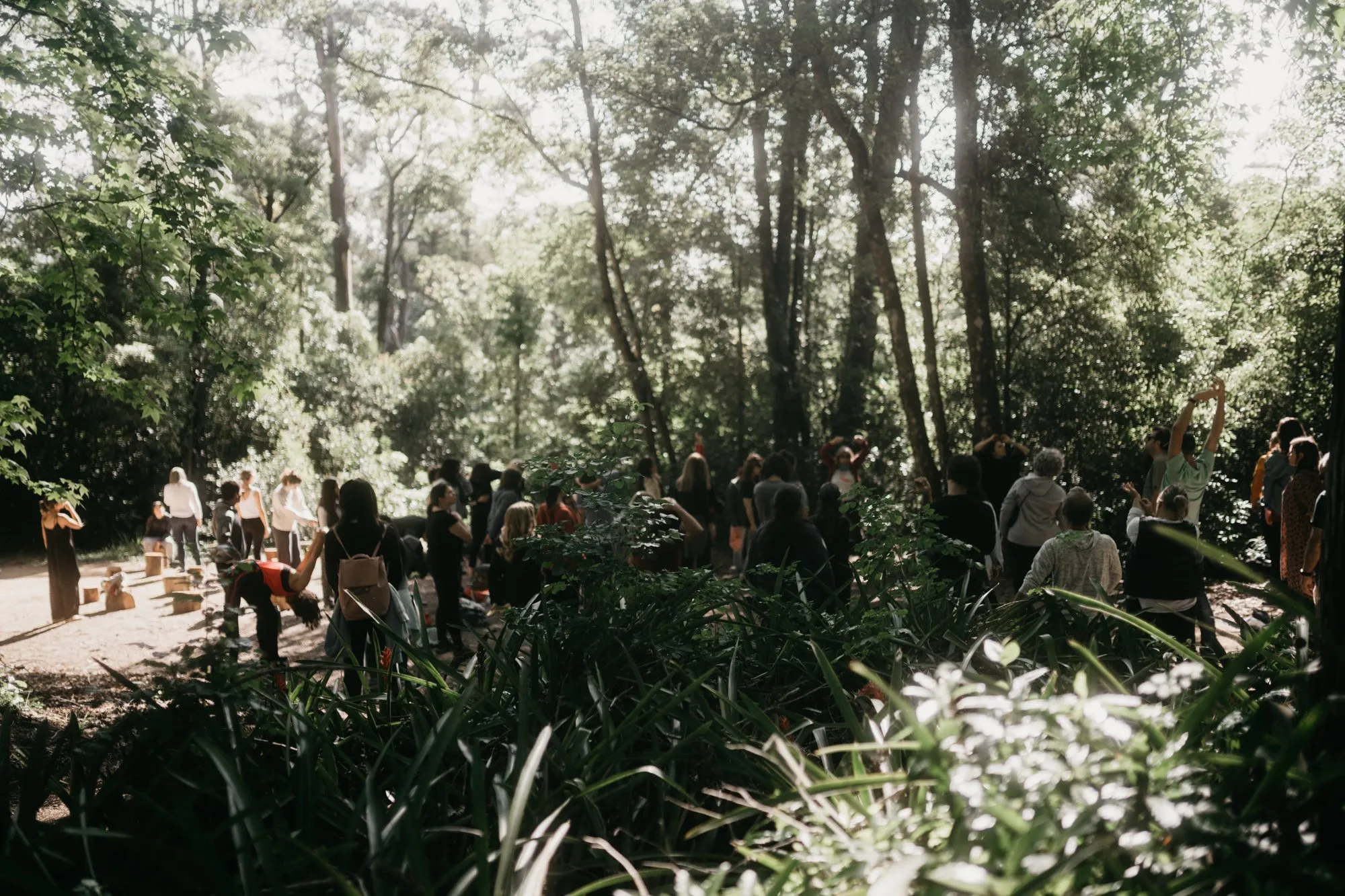 Baño de Bosque, Arboretum Lussich, Maldonado, Uruguay