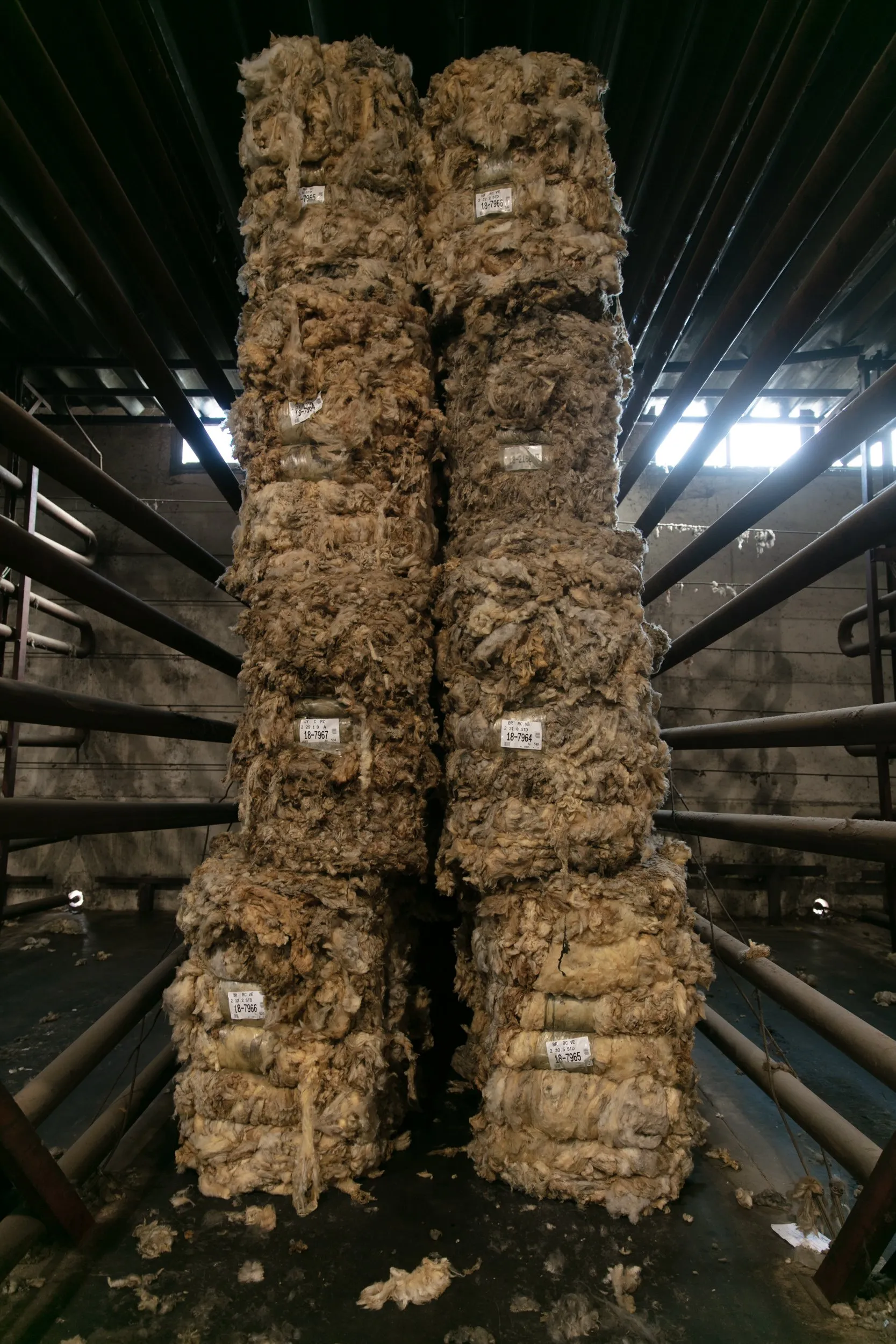 Calmo, el proceso de producción de una marca de lana uruguaya