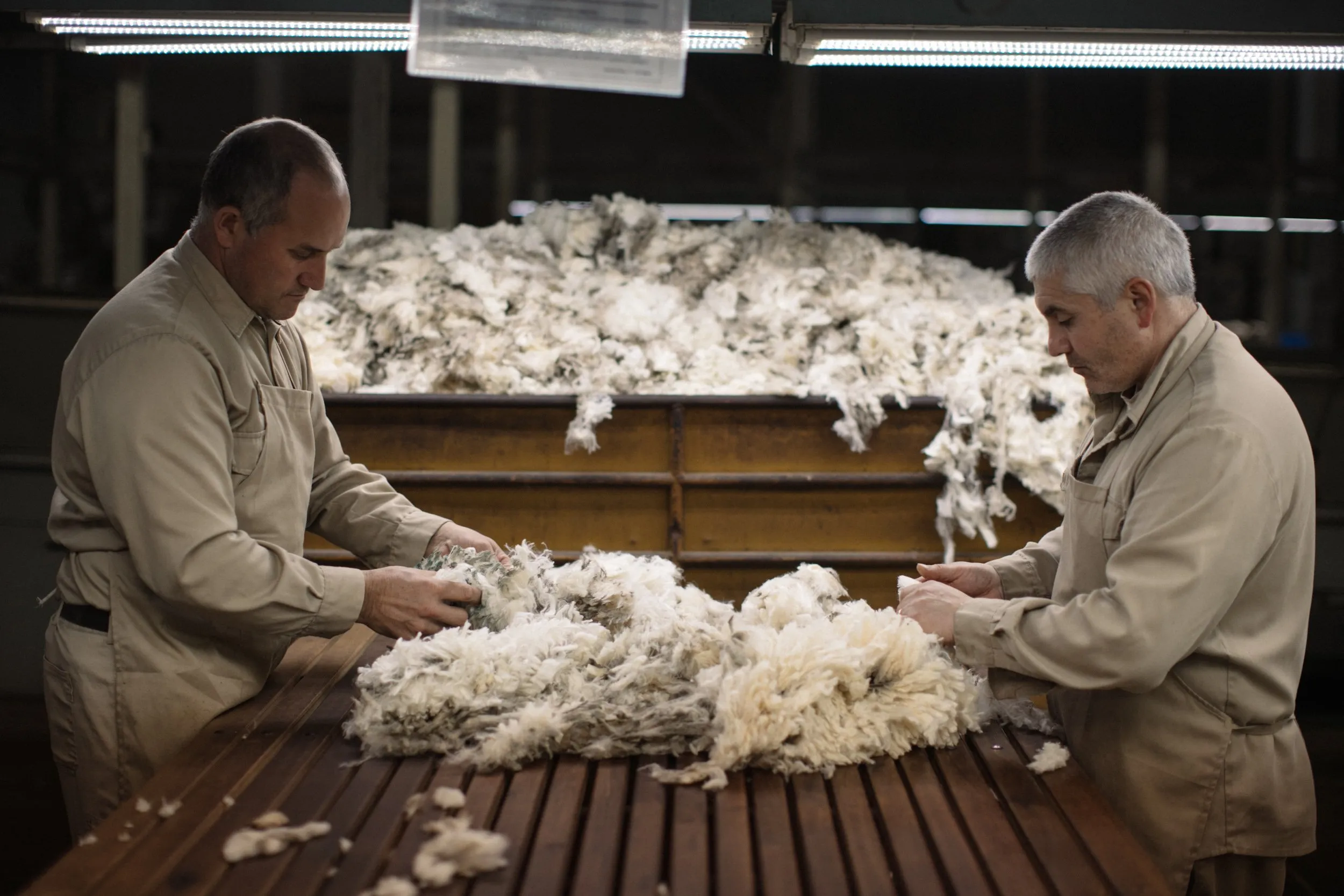 Calmo, el proceso de producción de una marca de lana uruguaya