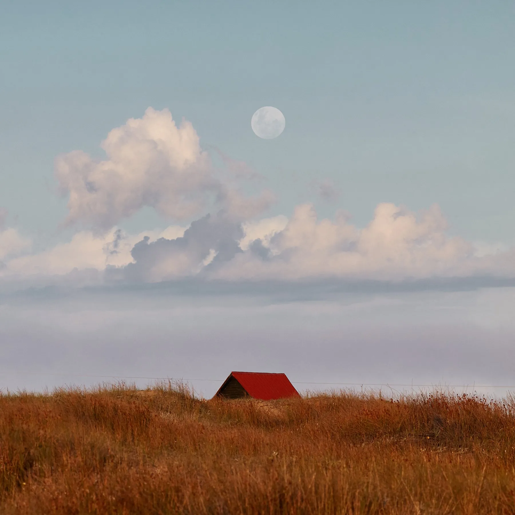Paisajes de Uruguay - 2019