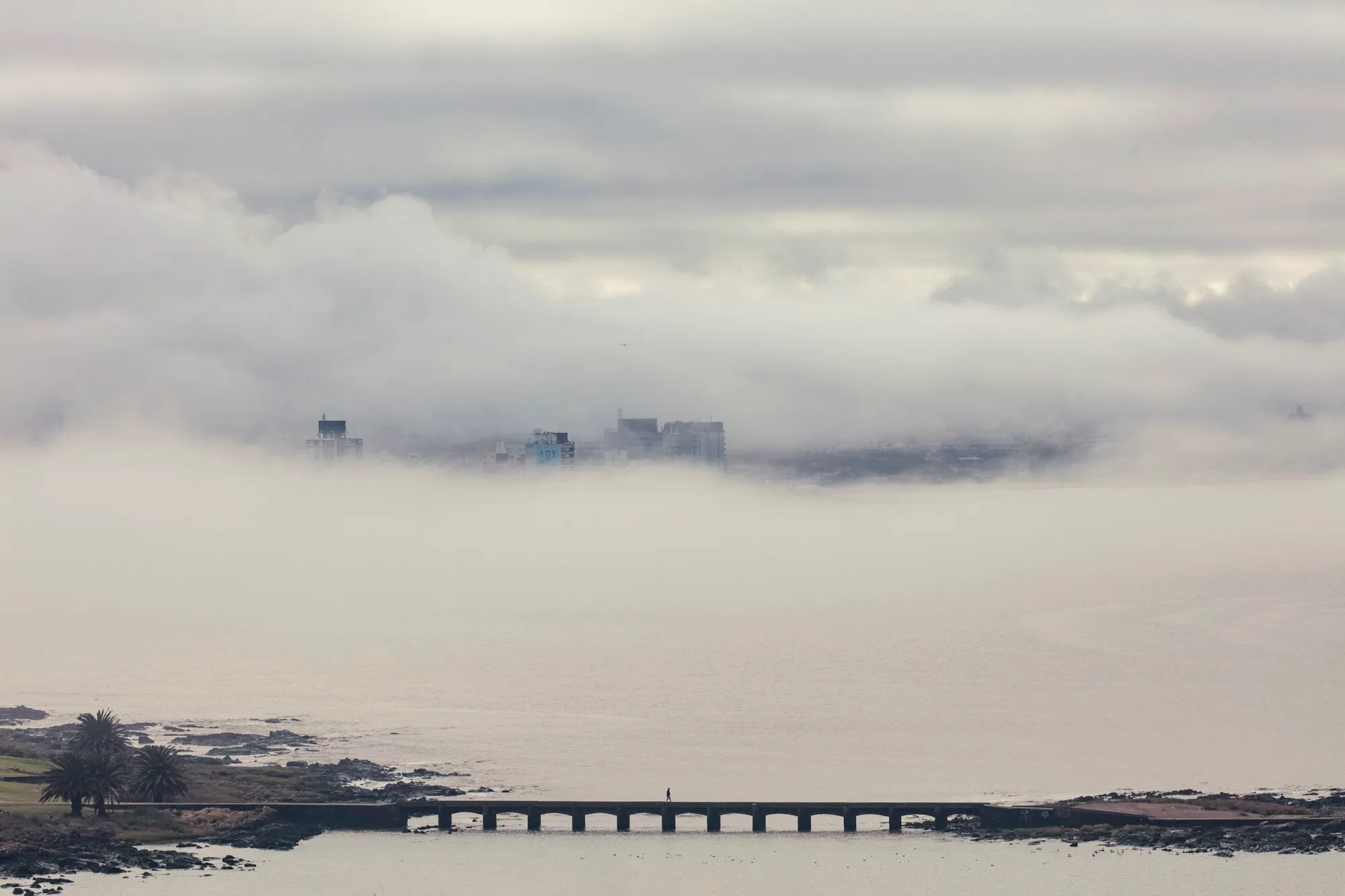 Los edificios de Montevideo asomando por encima de un banco de niebla, vistos desde la playa