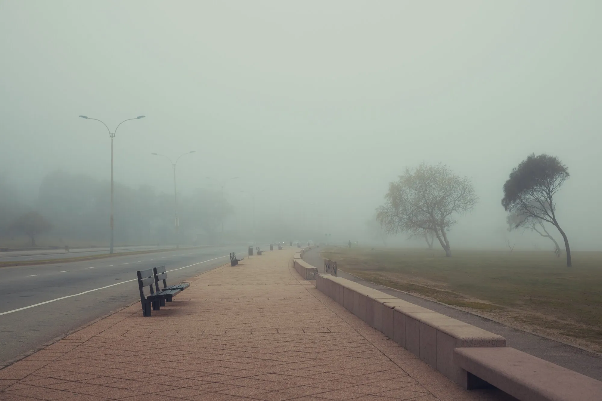 La rambla de Montevideo envuelta en niebla, con dos árboles y un banco apenas visibles