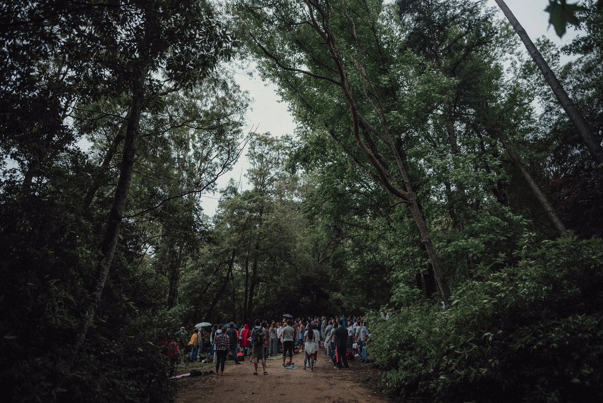 Baño de Bosque, Arboretum Lussich, Maldonado, Uruguay