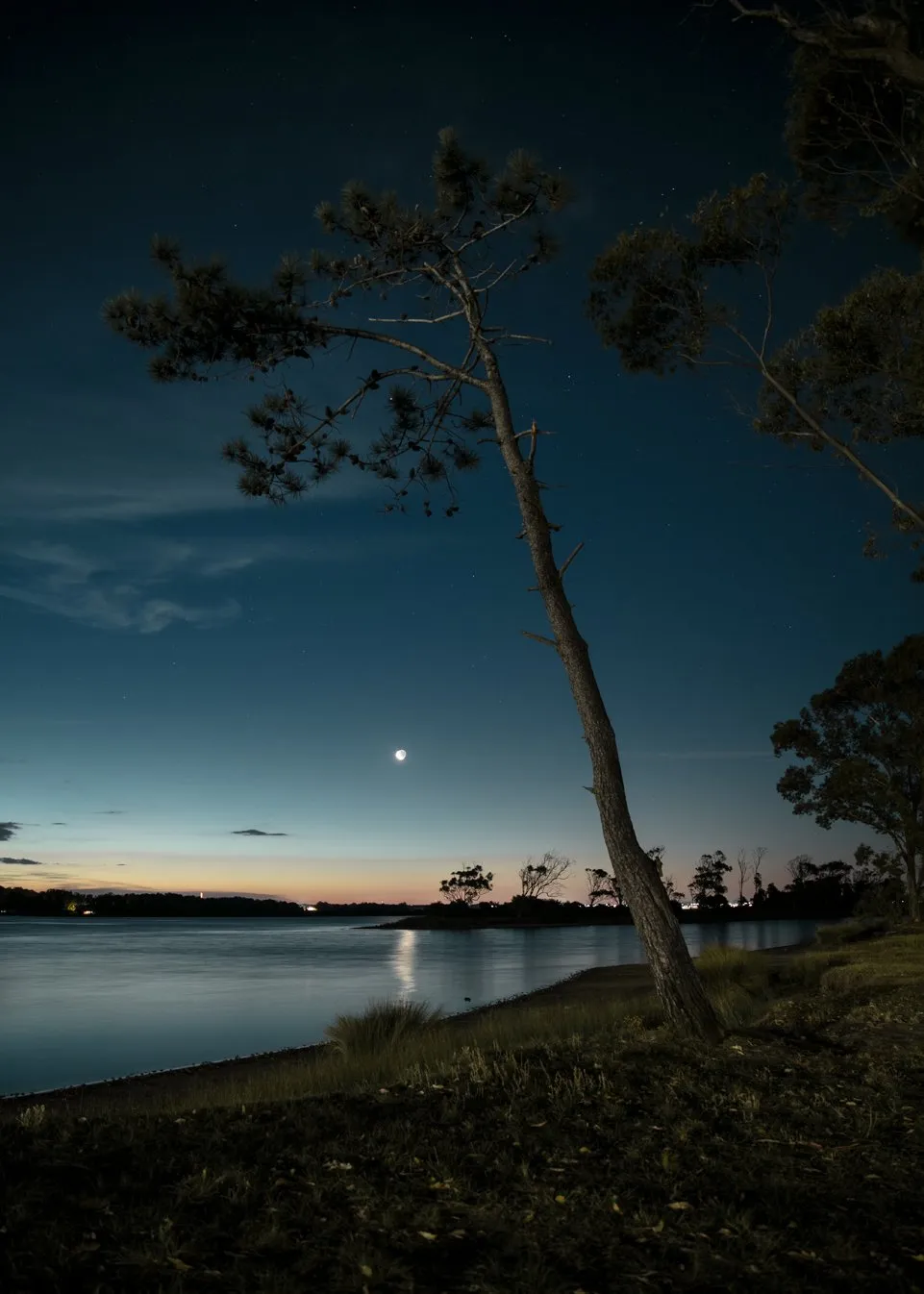 Un árbol inclinado sobre el agua al anochecer, con la luna asomando