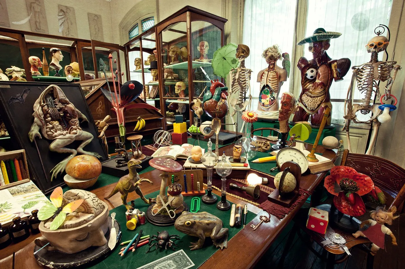 Mesa llena de objetos y figuras de esqueletos, animales y elementos científicos, en un ambiente de museo o colección, con vitrinas y cortinas de fondo.