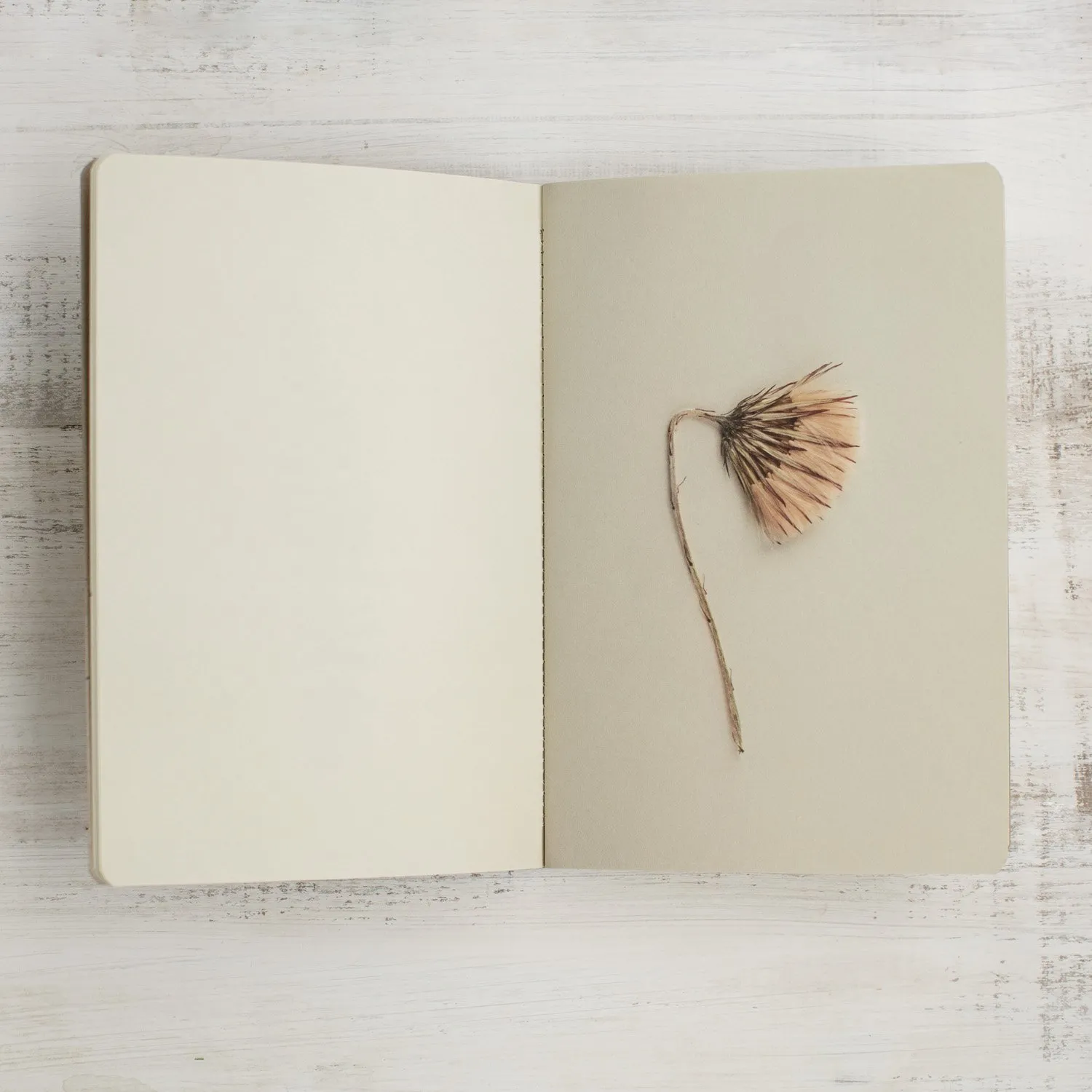 Un libro abierto con una hoja en blanco a la izquierda y una flor seca en la página de la derecha, sobre una superficie de madera blanca.
